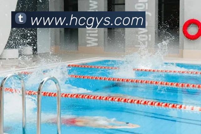 多媒体互动体验